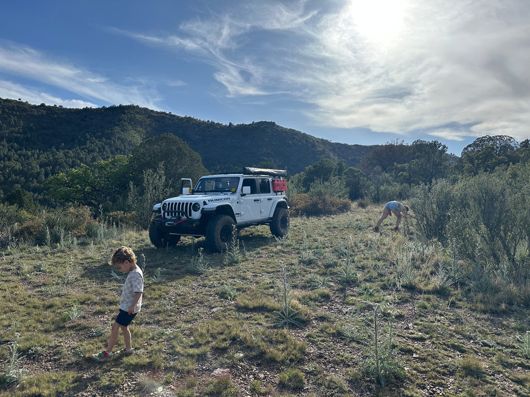 The Road Less Traveled: Exploring Woodchute Trail from Prescott to Jerome